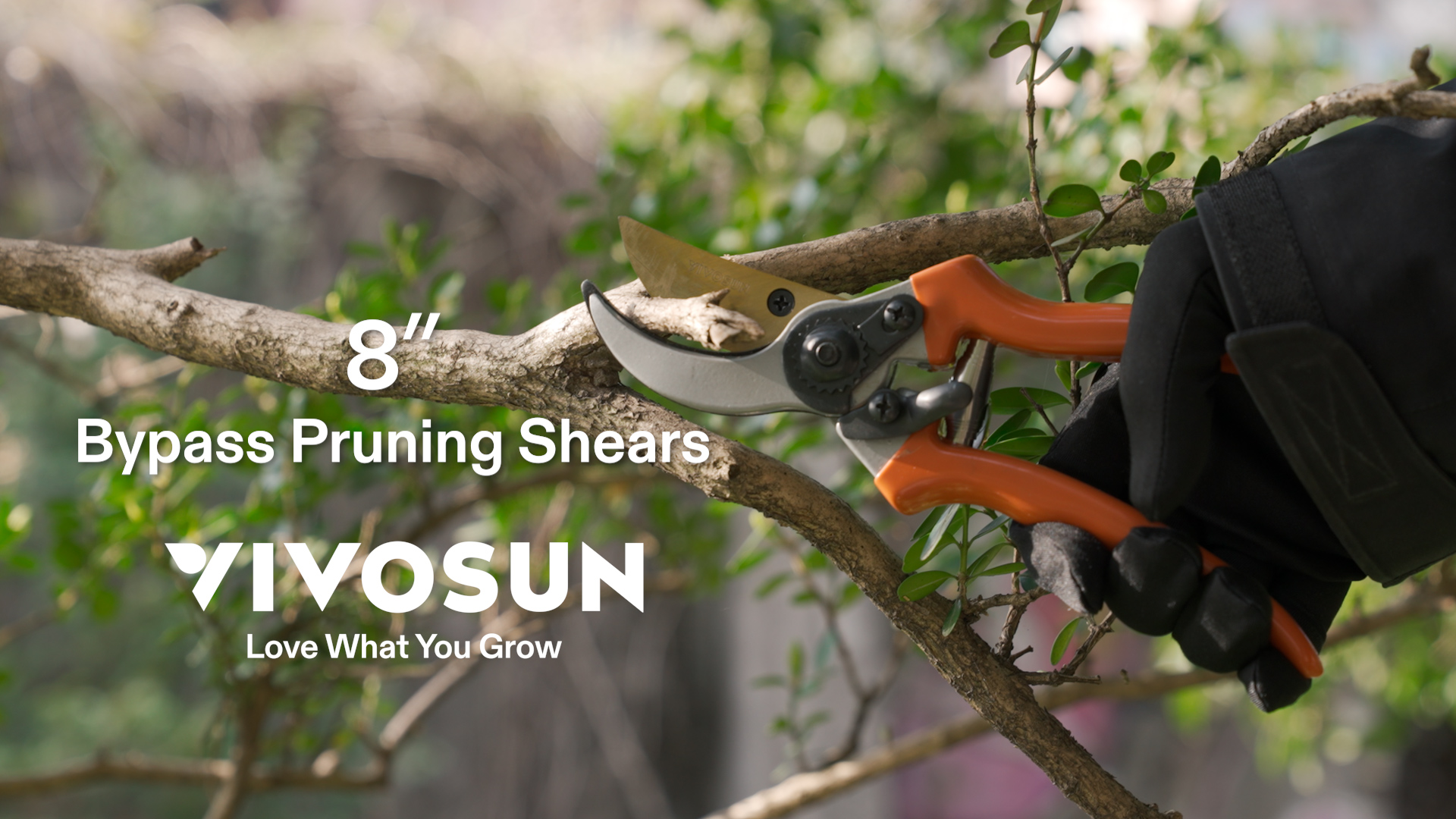 Amazon.com : VIVOSUN 8